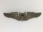 U.S. Metal Wings and Breast Badges