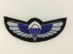 Special Air Service Paratrooper's cloth wings. Current issue