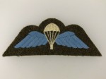 British Army Paratroopers cloth sleeve wings early issue