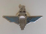 Parachute Regiment enamel lapel pin