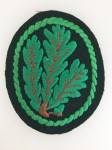 Jaeger cloth sleeve badge