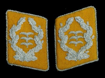 Luftwaffe Oberst collar patches for Flight section Luftwaffe Oberst collar patches for Flight section