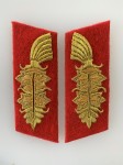 Army General's collar patches