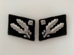 S.S. Brigadefuhrer collar patches. pre 1942 pattern