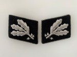 S.S. Gruppenfuhrer collar patches. Pre 1942 pattern