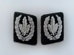 S.S. collar patches of the 'Reichsfuhrer S.S.'