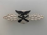 Luftwaffe Close Combat Clasp in Silver
