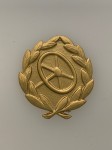Army Drivers Badge in Gold