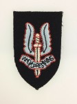 Special Air Service cloth beret badge