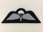 Royal Air Force Paratrooper's cloth sleeve wings