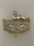 Gloucestershire Regiment metal cap badge