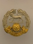 Hampshire Regiment metal cap badge