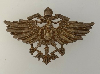 WW1 Imperial German Colonial 'Tarbusch' badge.