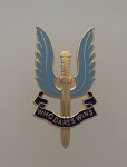 Special Air Service enamel lapel pin gilt