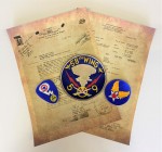 Cloth Patches USAF and USN Aviation